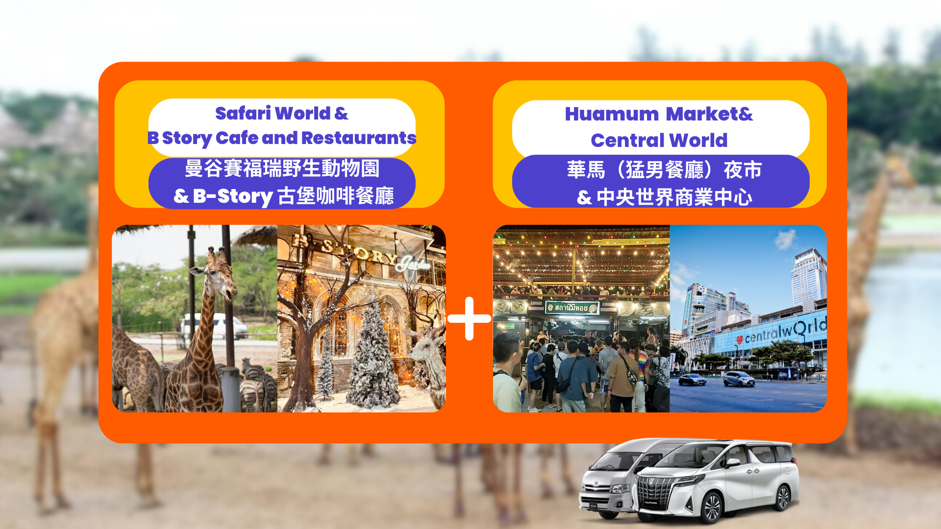 曼谷赛佛瑞野生动物园＆B Story 古堡咖啡餐厅＆华马夜市私人一日游