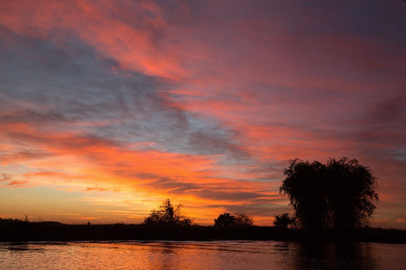 达尔文日落湿地2小时游船之旅