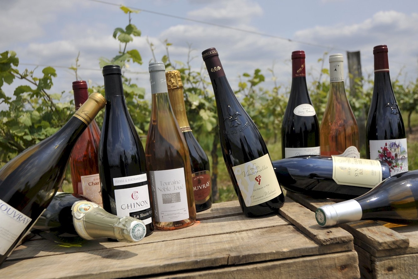 瓦尔河谷葡萄酒庄一日游（图尔出发）