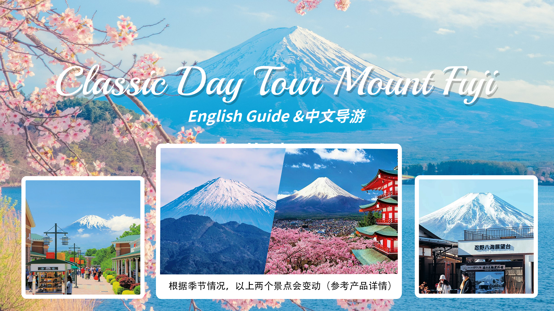 富士山经典一日游｜五合目/新仓山公园+忍野八海+御殿场奥特莱斯/温泉（二选一）赠送特色富士山泉草饼