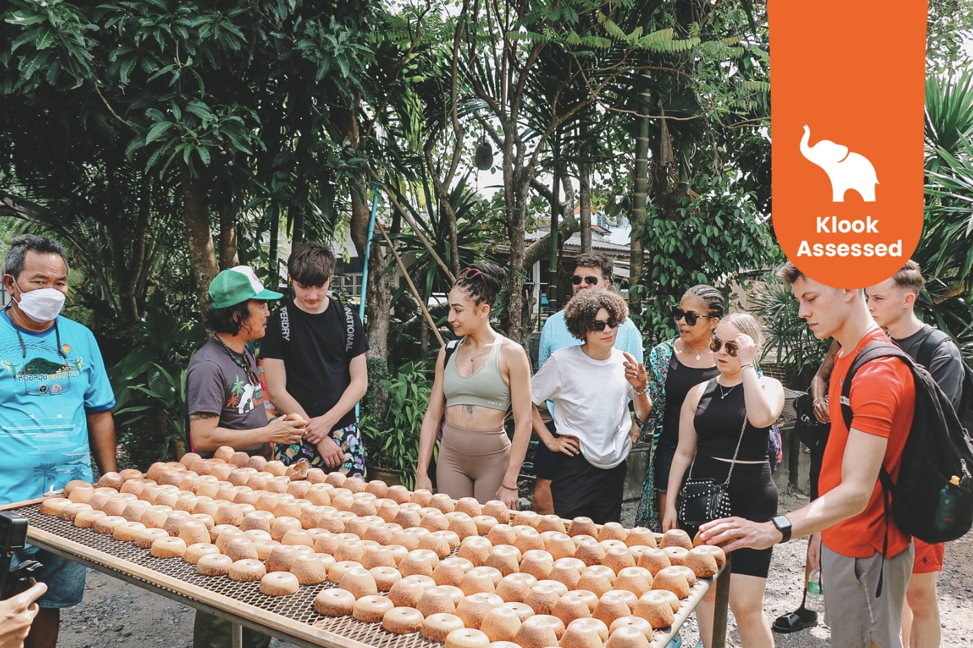 苏美岛在地历史文化之旅（含喂大象体验）