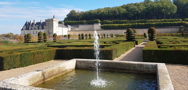 卢瓦尔河谷半日游（图尔出发）