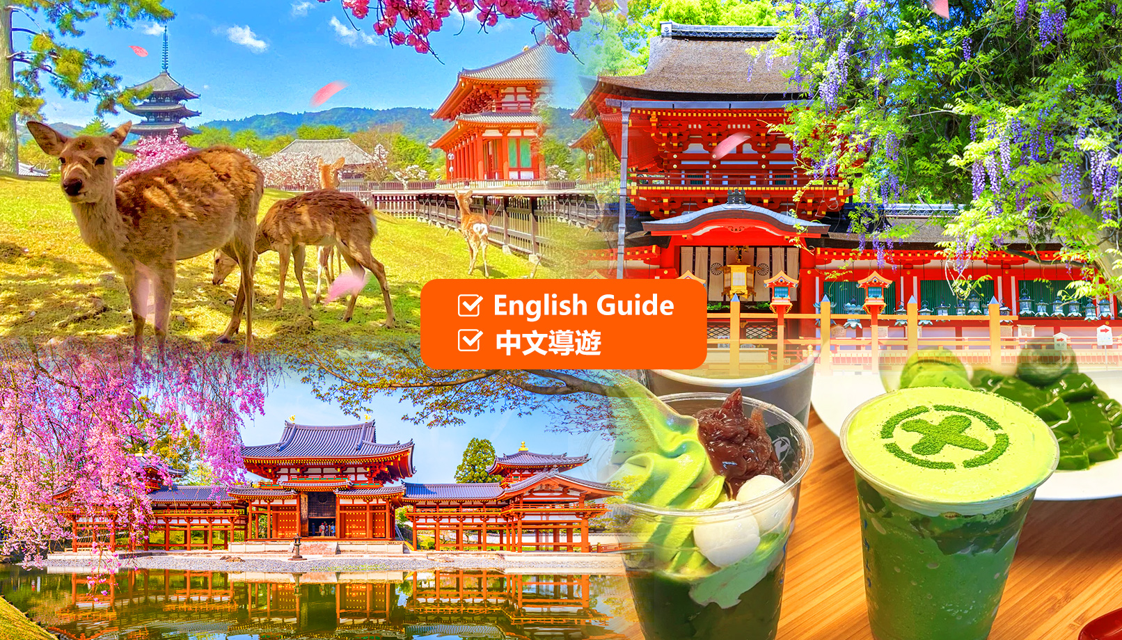 奈良公园＆东大寺＆宇治＆源氏の湯一日游（大阪出发）