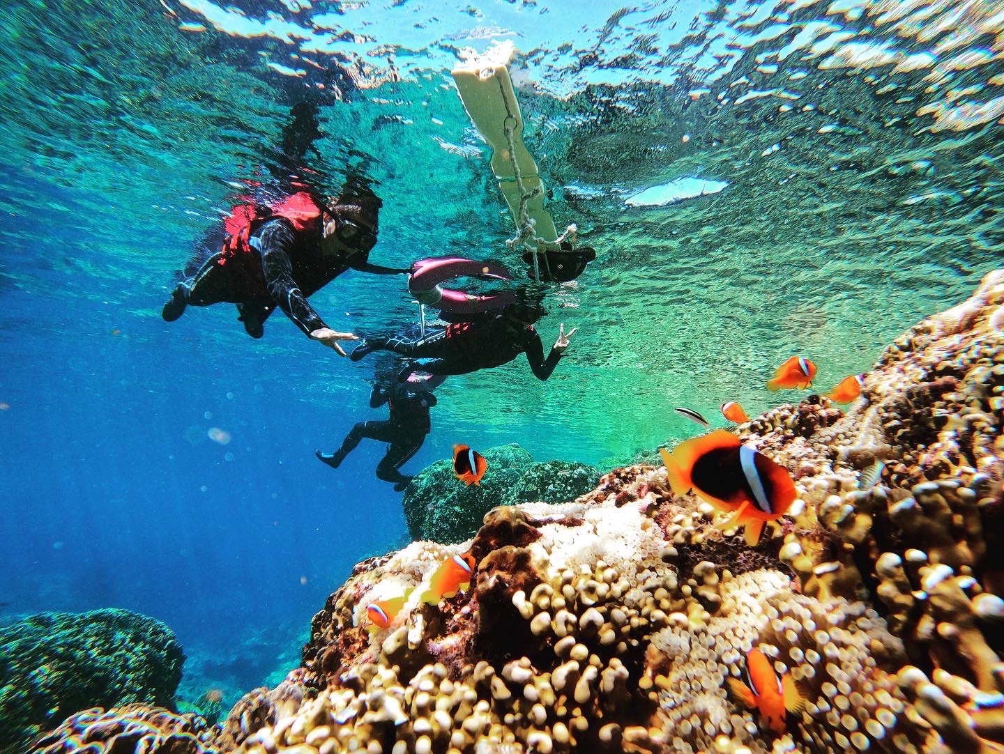 台东: 兰屿路易浮潜体验 (含GoPro拍摄)