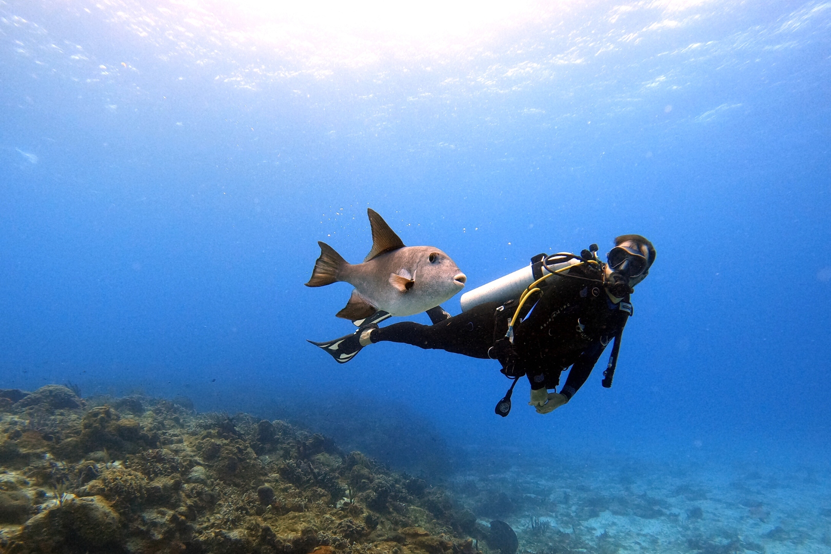 迪拜水肺潜水体验