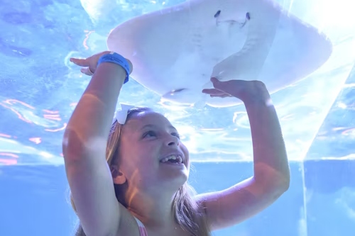 拉斯维加斯 SeaQuest 水族馆门票