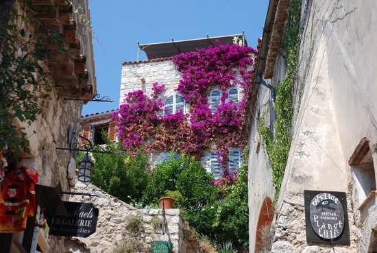 埃兹 & 摩纳哥 & 蒙特卡洛半日游（尼斯出发）
