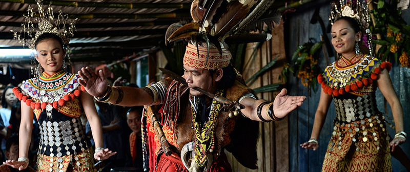 古晋海豚红树林游船 & 沙捞越文化村探索之旅