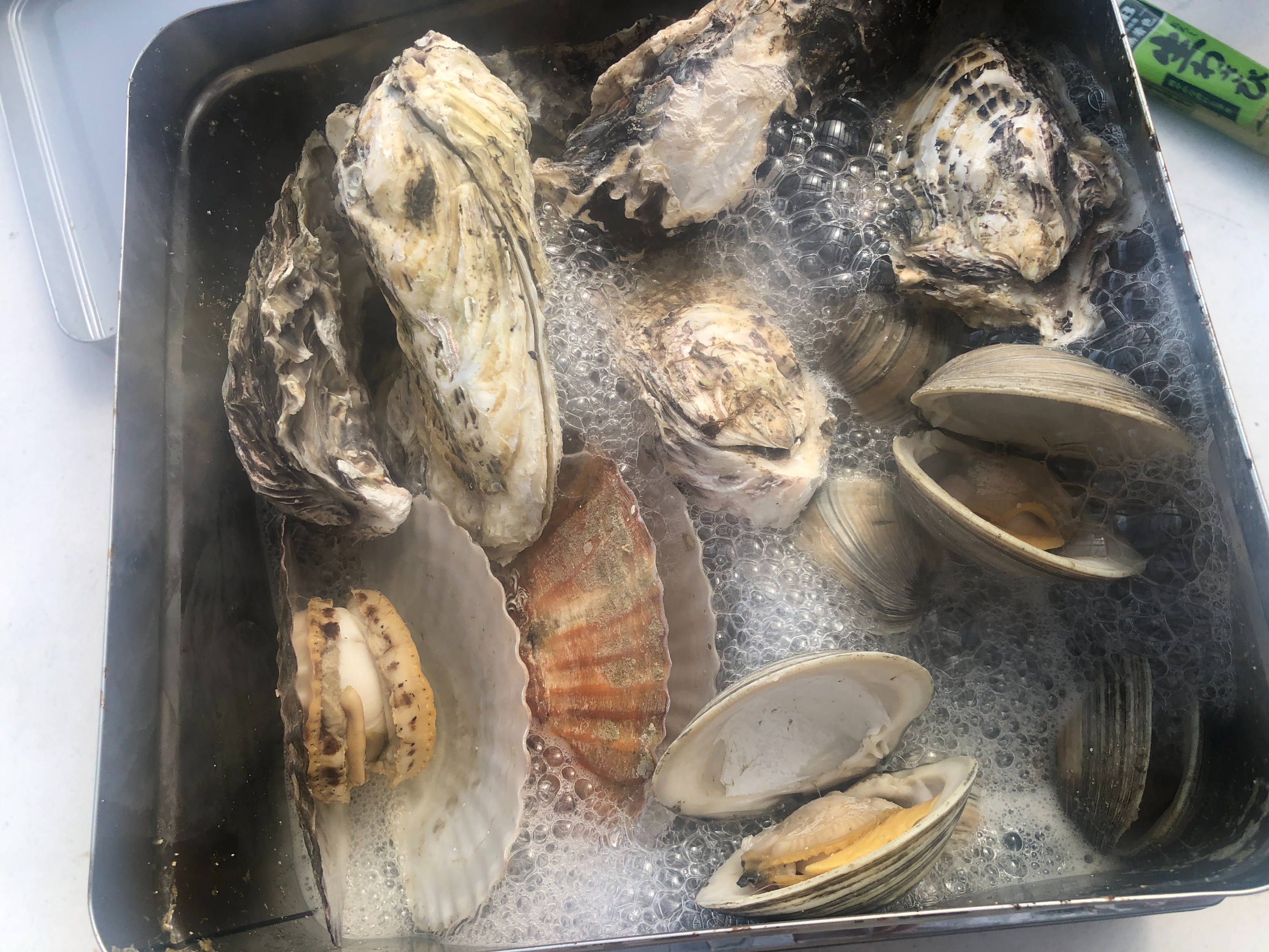 茨城｜2天1夜屋顶露台 KanKan 海鲜烧烤体验