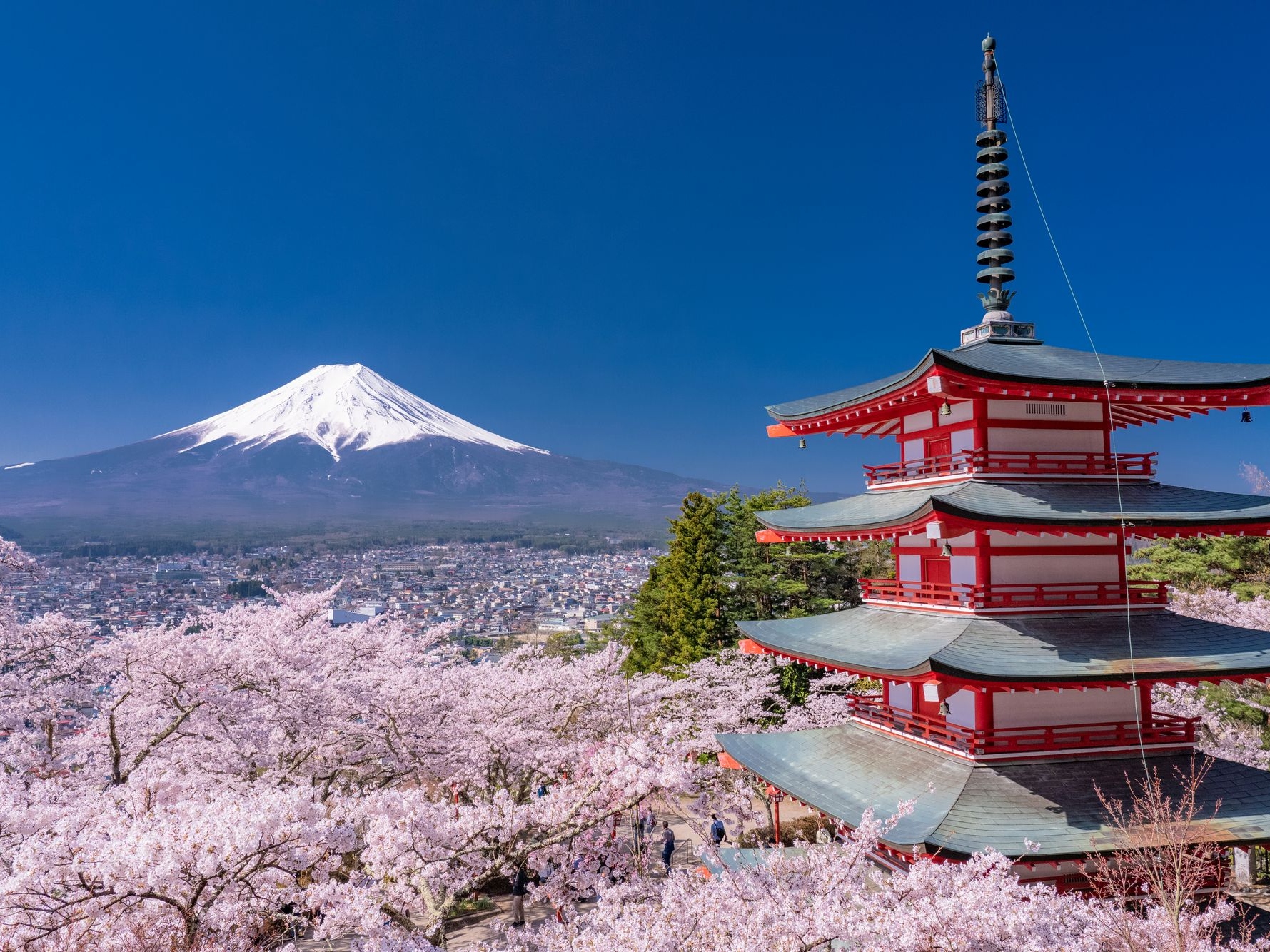 箱根 & 富士山五合目巴士一日游（东京出发）
