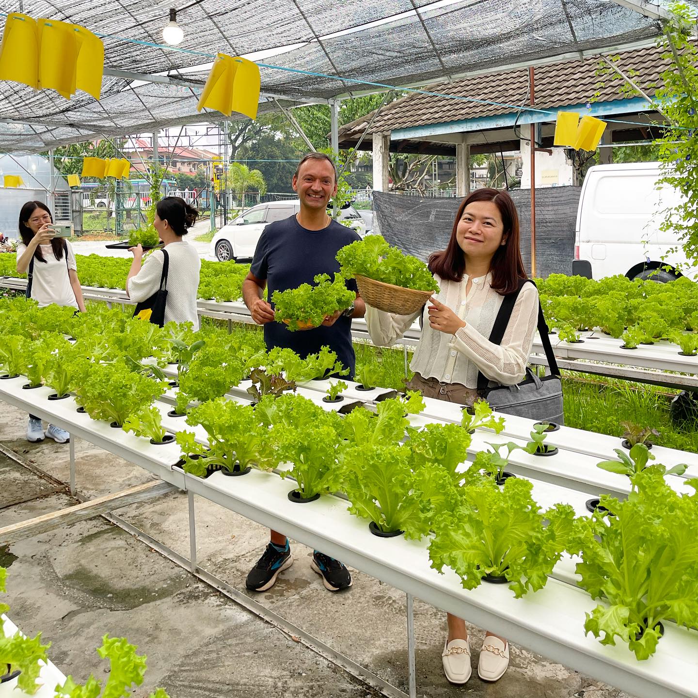 Utama农场：宠物动物园 & 虾 & 钓鱼 & 棒球击球笼体验