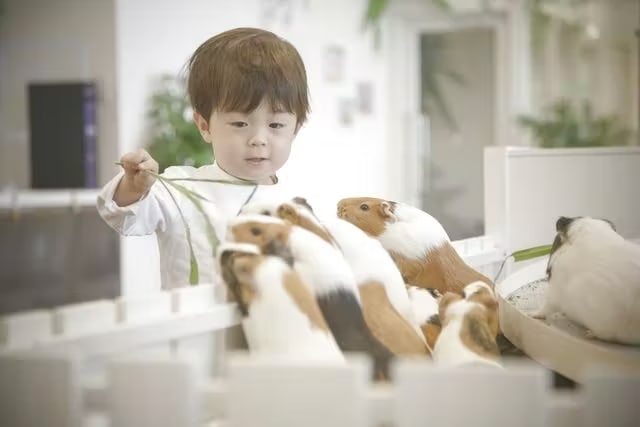 横滨的“Anitouch Minatomirai”室内动物园门票