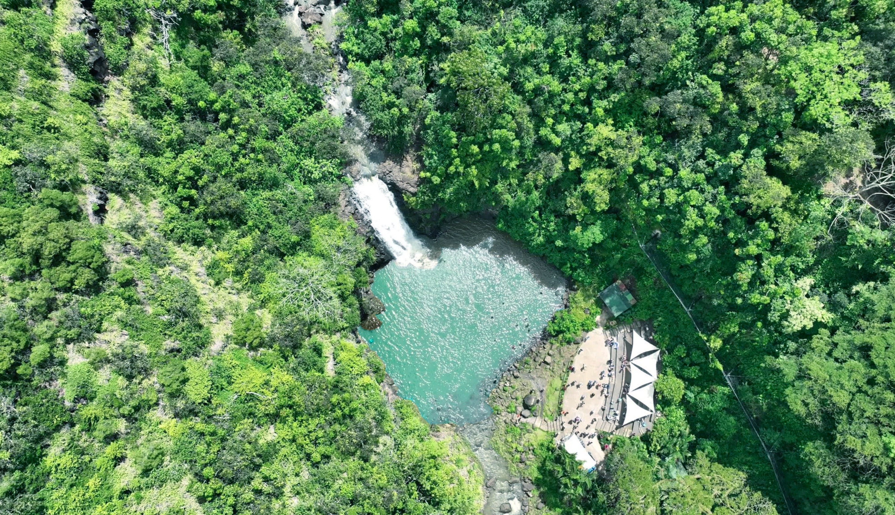 欧胡岛威美亚瀑布游泳和健行（迷你早餐 & 含午餐）