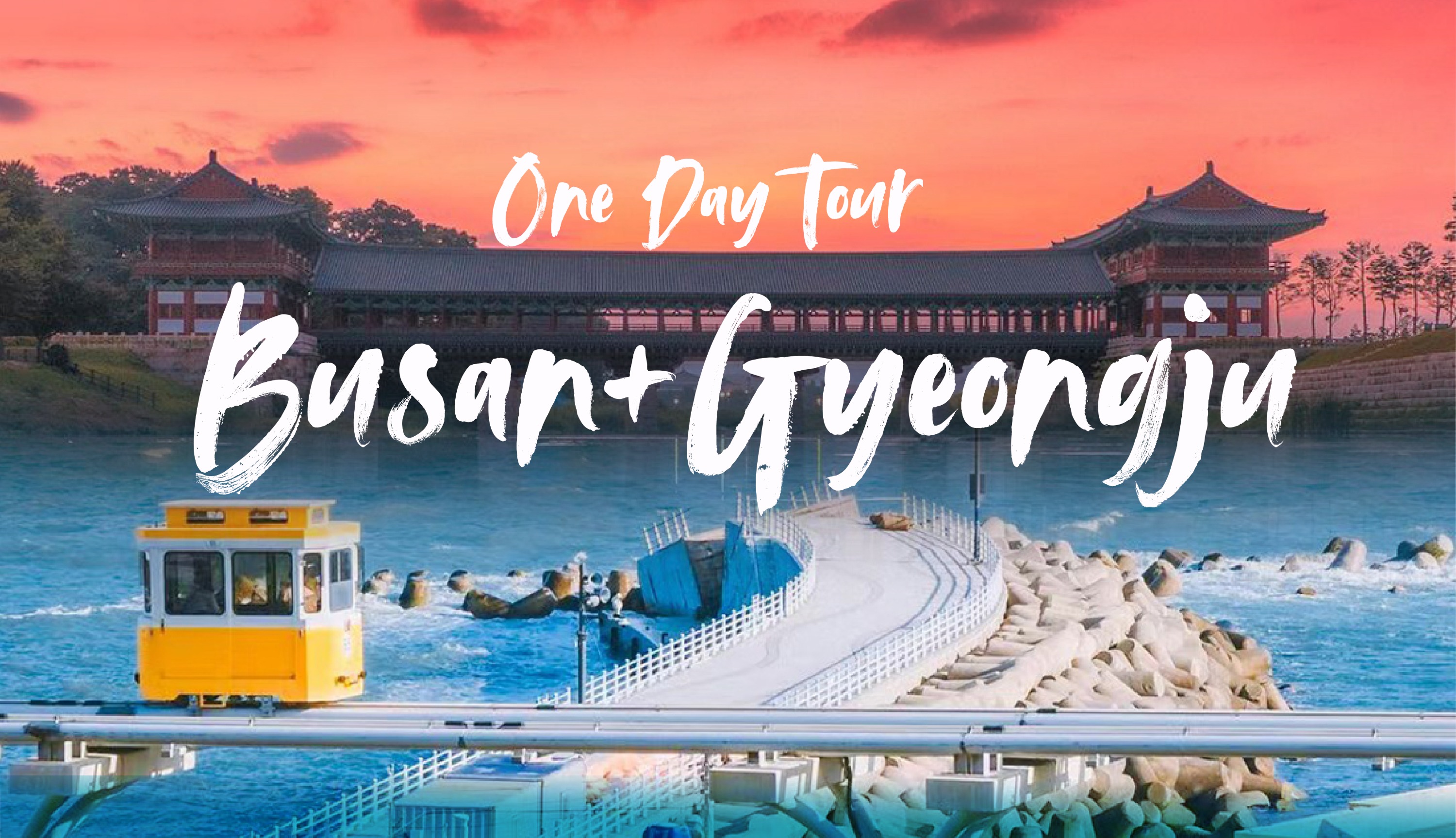 釜山 & 庆州一日游（釜山出发）