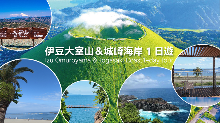 城崎海岸＆伊豆大室山一日游（东京出发）