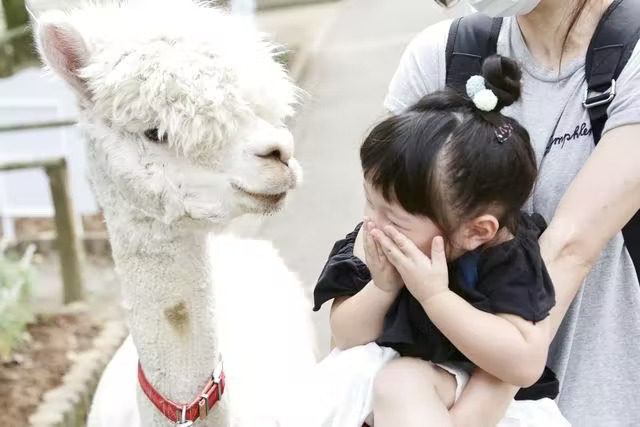 栃木县那须高原Rindo湖家庭牧场一日通票