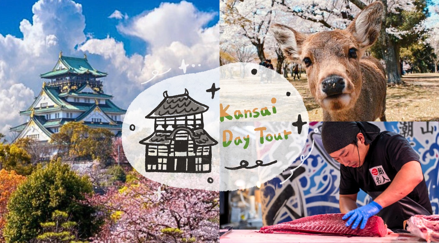 和歌山城x黑潮市场x奈良神鹿公园x东大寺一日游(大阪出发)