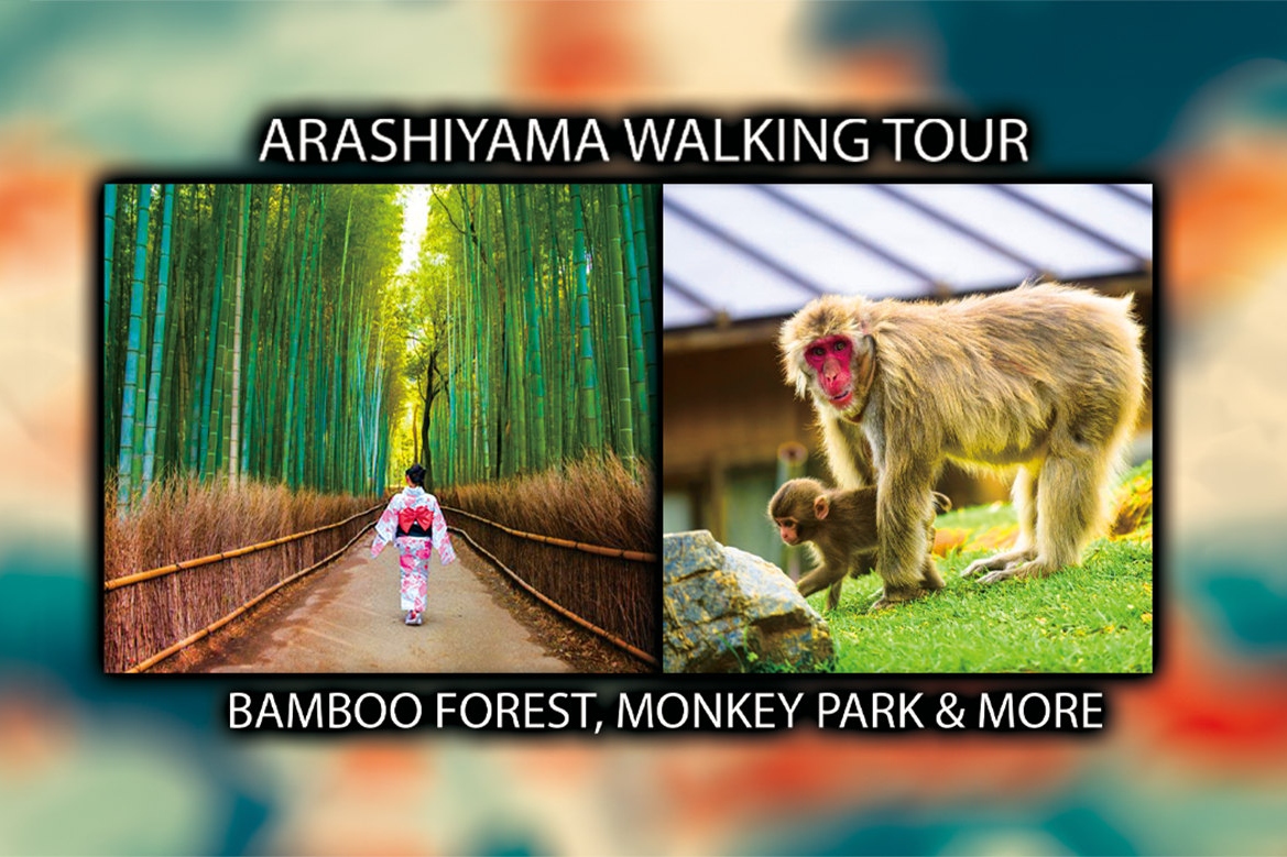 岚山 & 京都猴子公园半日徒步体验
