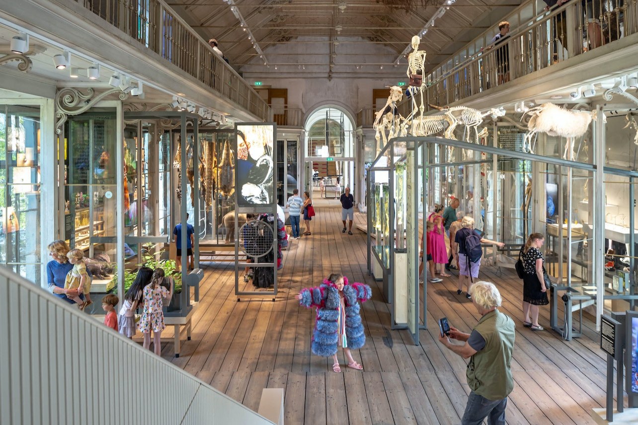 阿姆斯特丹 ARTIS Groote 博物馆门票