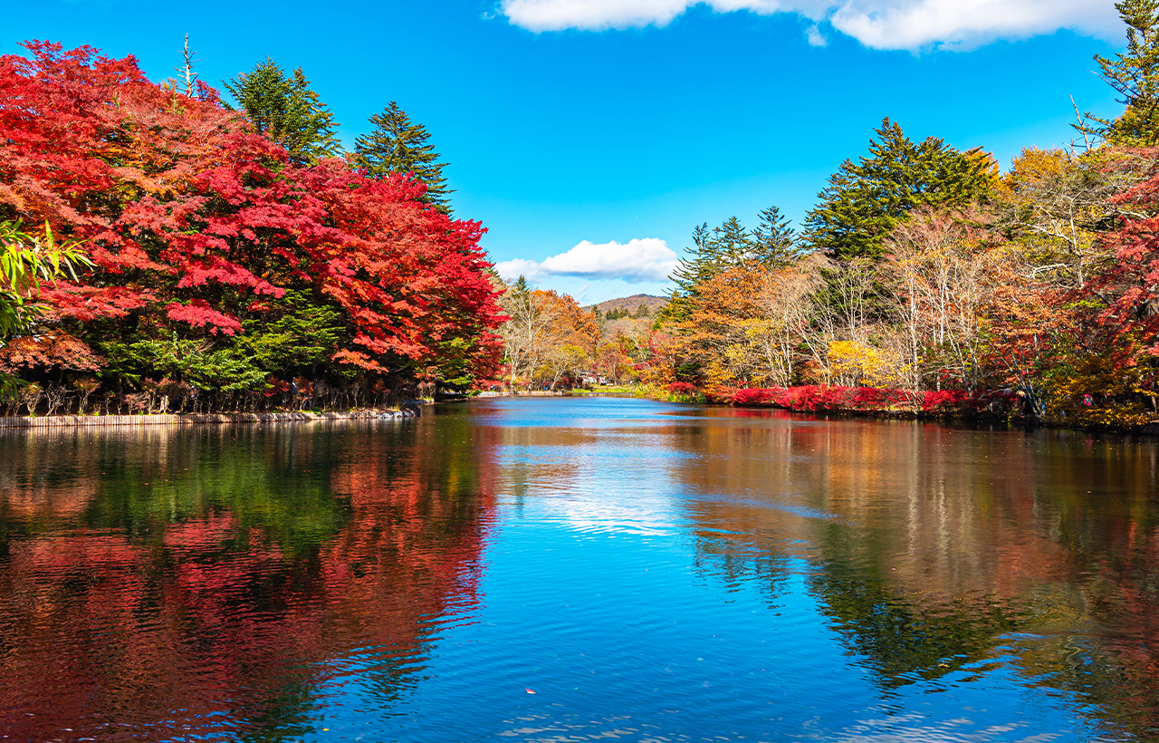 轻井泽 & 川越一日游（东京出发）