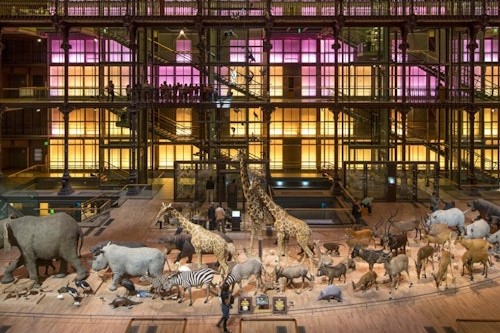 巴黎自然历史博物馆免排队门票（Grande Galerie de l'Évolution）