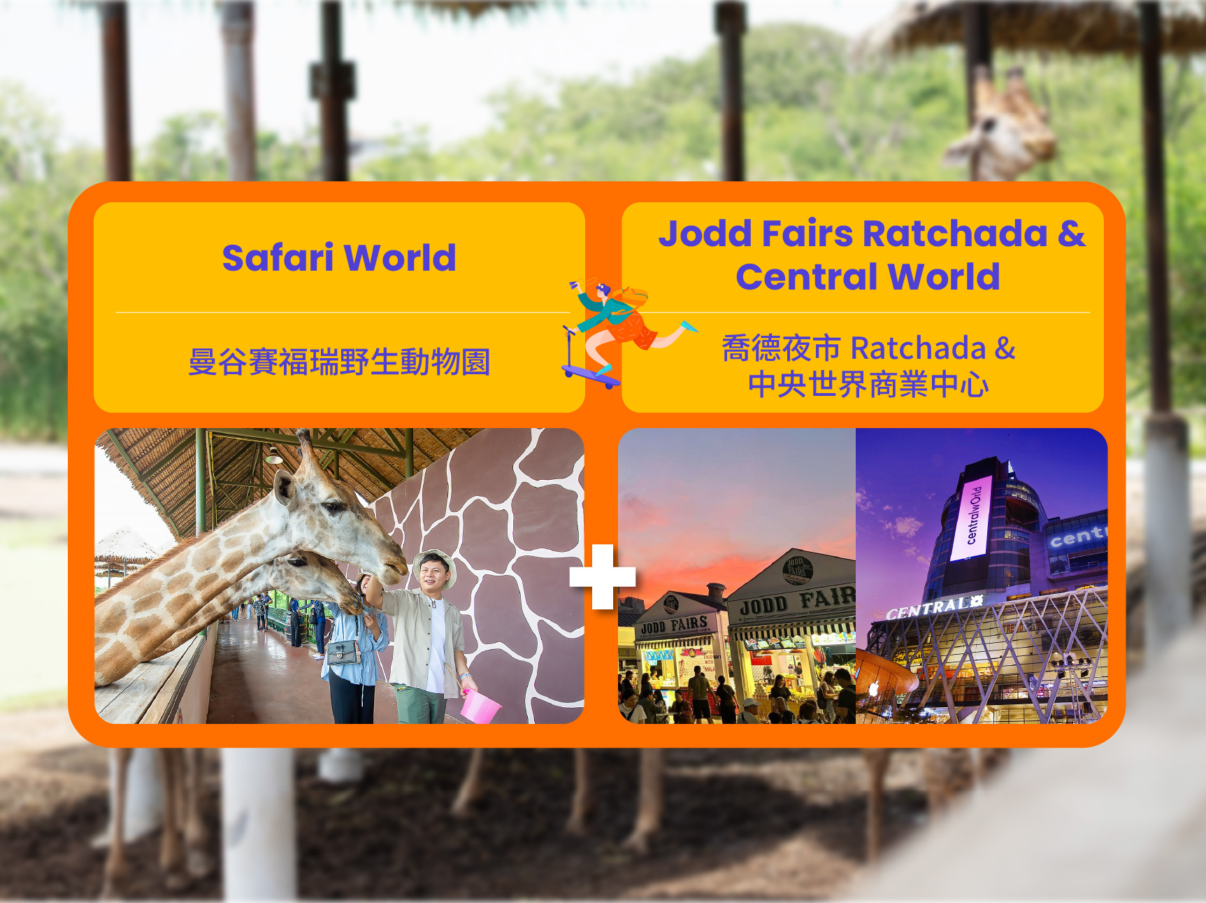 曼谷野生动物园 & 乔德夜市（JODD FAIRS）私人一日游