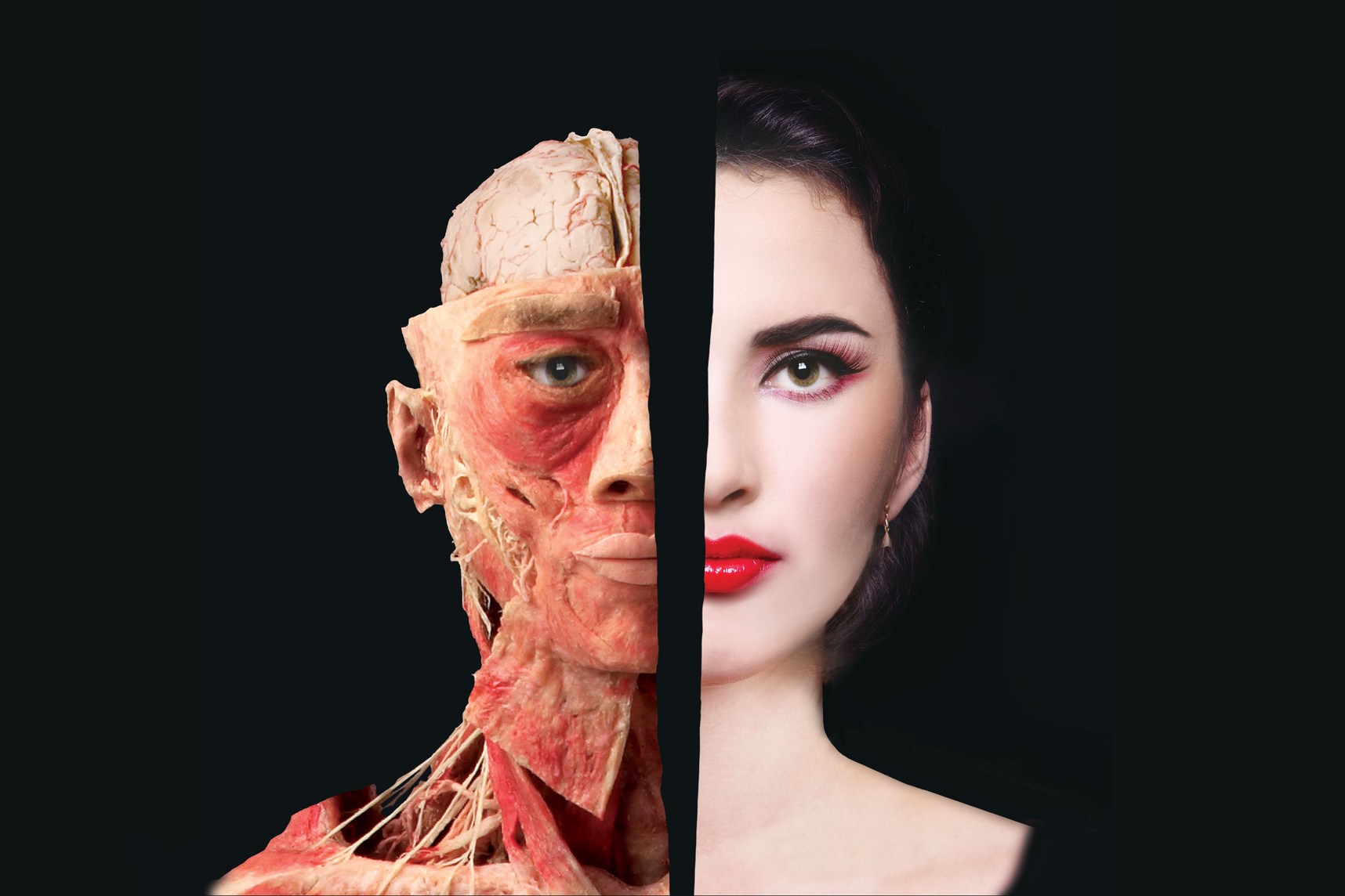 拉斯维加斯人体构造展览会门票