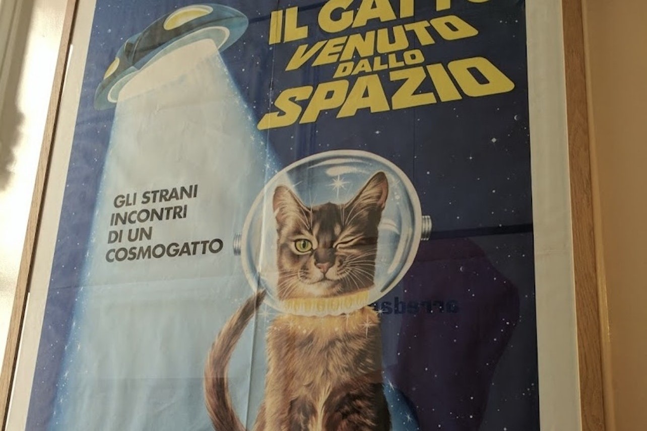 阿姆斯特丹猫咪博物馆门票