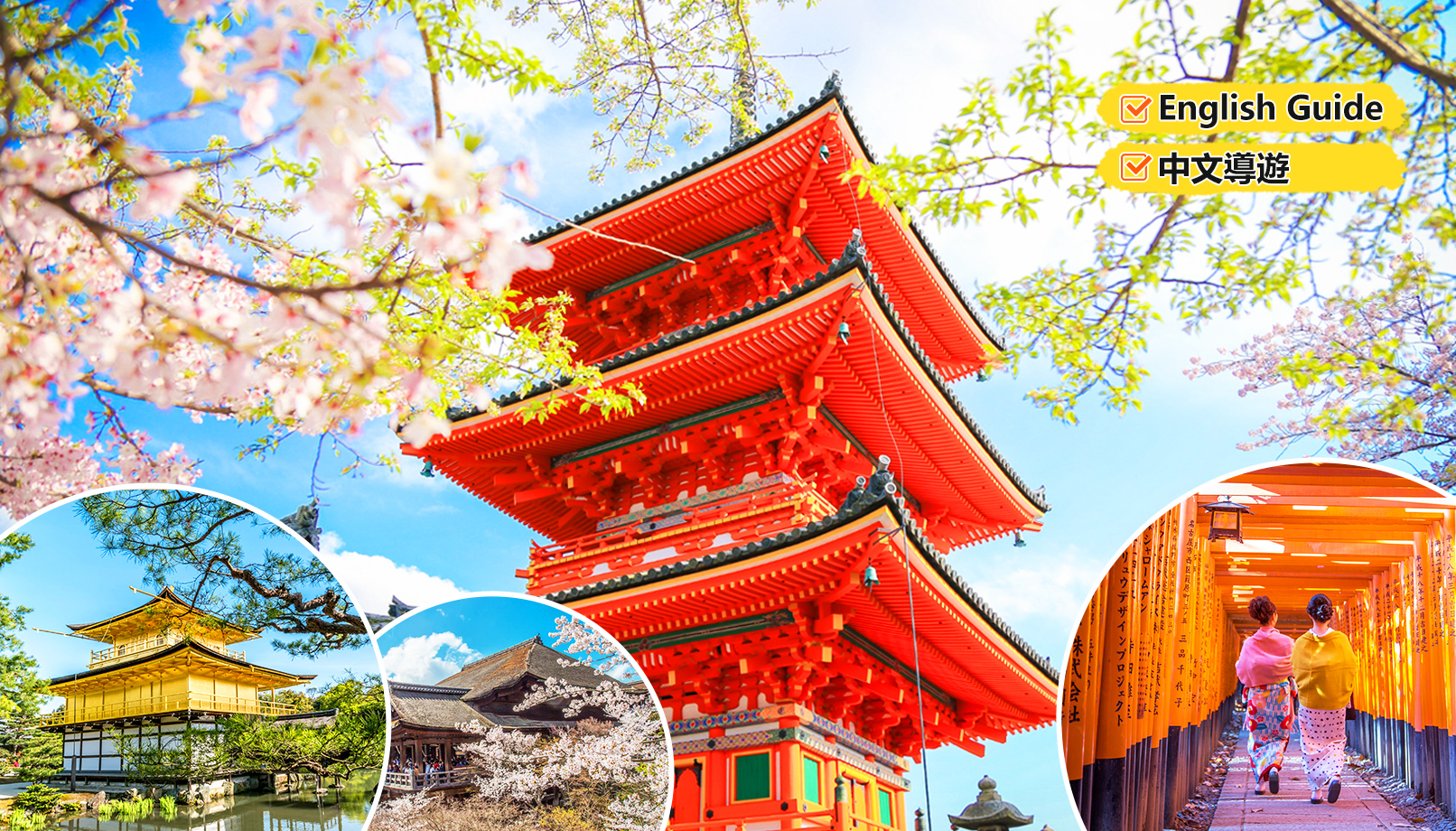 金阁寺＆清水寺＆伏见稻荷大社京都一日游丨大阪/京都出发