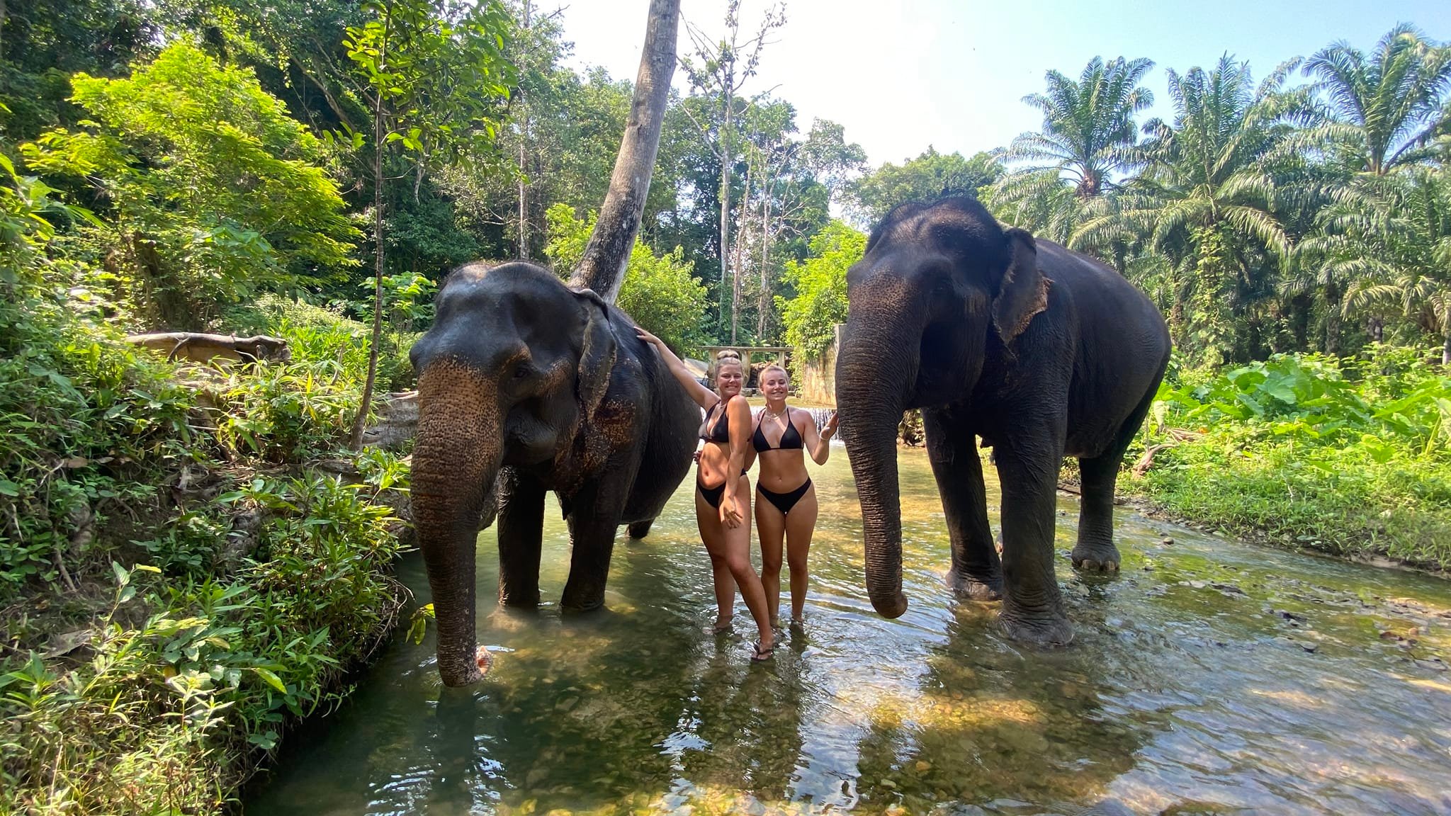 甲米大象保护区半日游 & Huay To Waterfall游泳