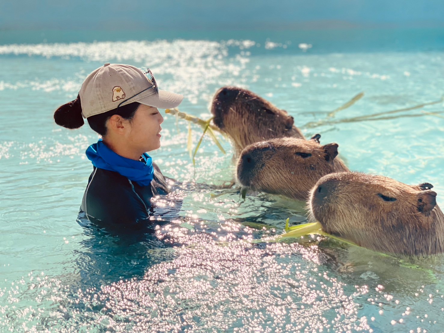 垦丁鹿ㄦ岛水豚生态园区门票