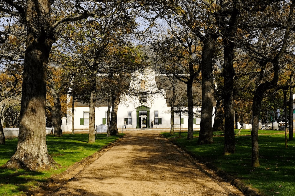 开普敦Groot Constantia葡萄酒庄园品酒体验