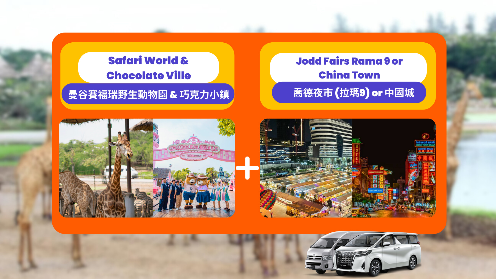 曼谷野生动物园 & 巧克力村私人一日游