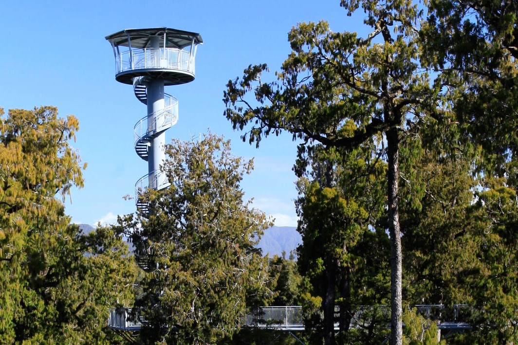 西海岸树冠步道体验