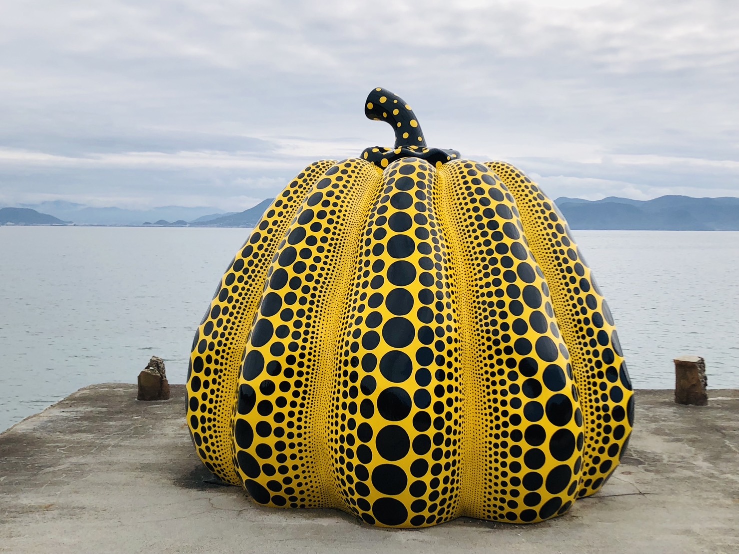 香川县直岛: 濑户内国际艺术祭一日游 (大阪出发)