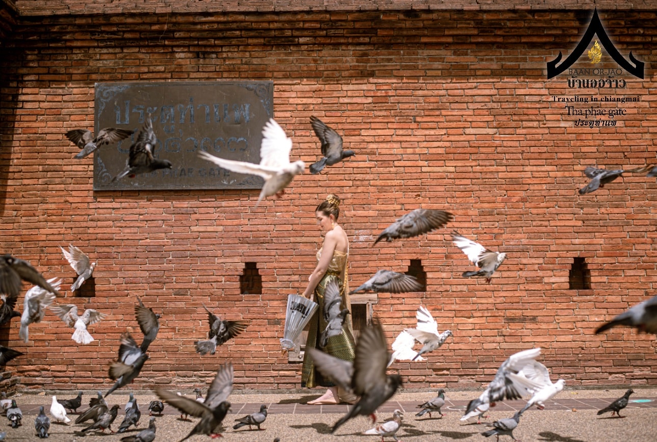 Baan Orjao 与塔佩门半日文化之旅