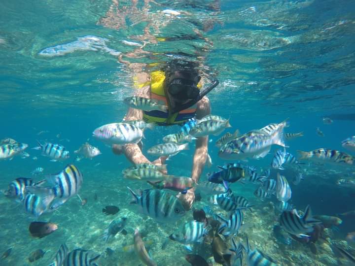 巴丹拜蓝色泻湖＆Tanjung Jepun 浮潜体验