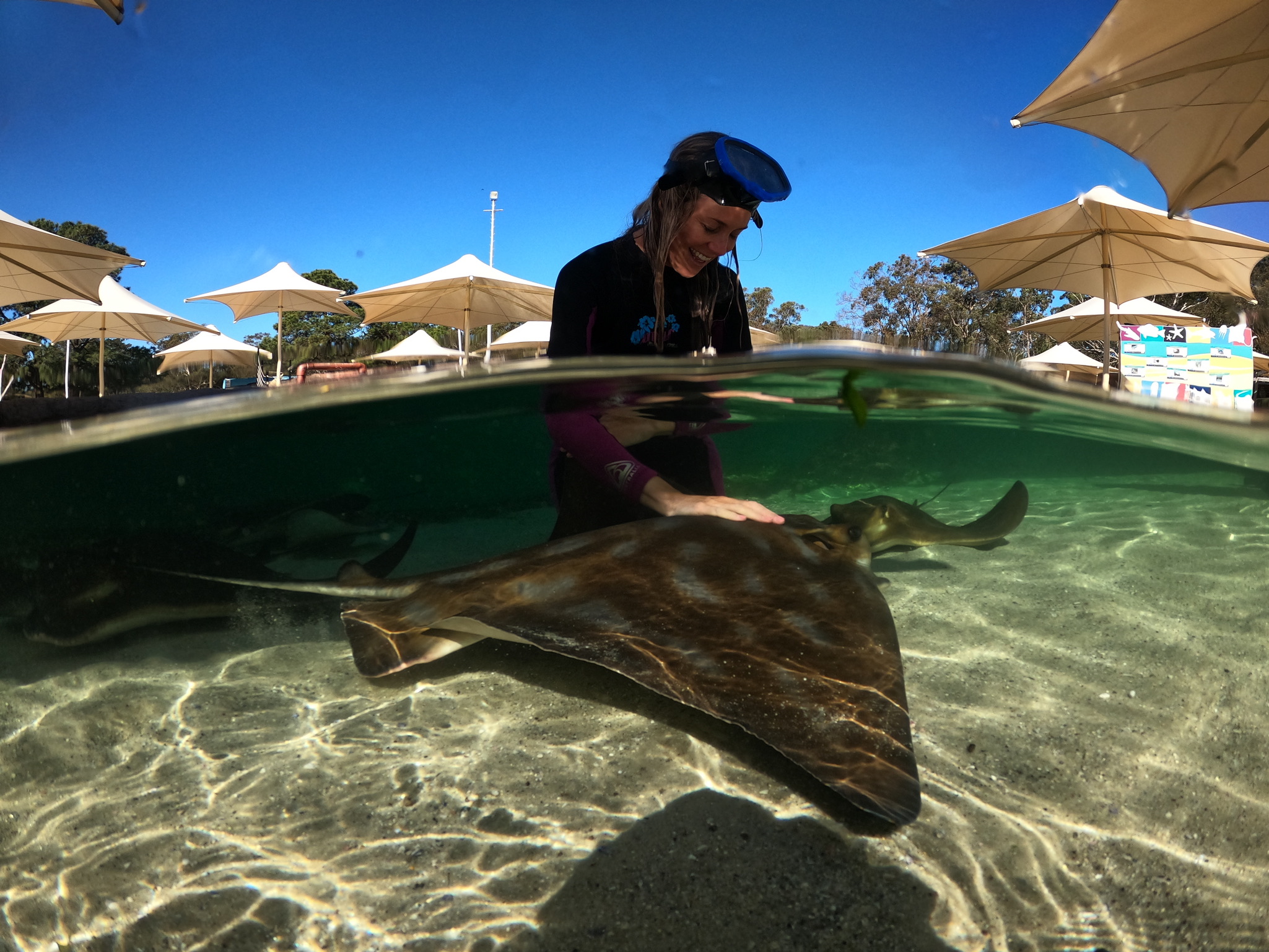 Irukandji Shark & Ray Encounters 水族馆门票