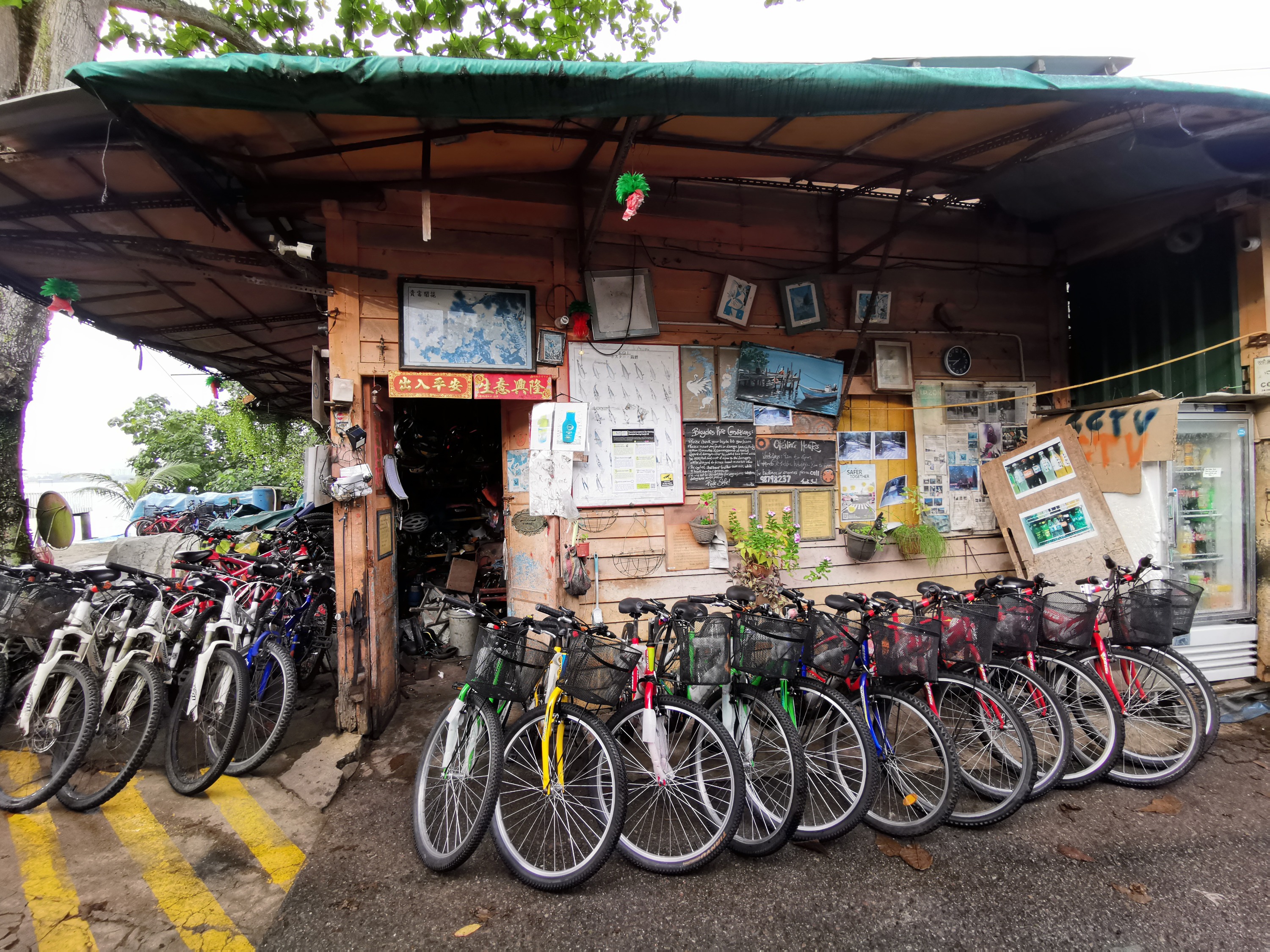 乌敏岛自行车租借