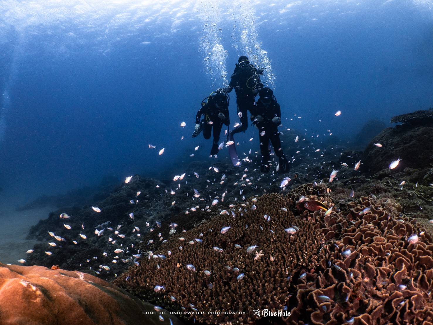 屏东｜垦丁蓝洞潜水｜美人鱼体验・ VIP船潜体验（免证照）