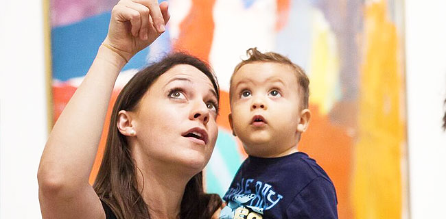 休士顿博物馆通行证