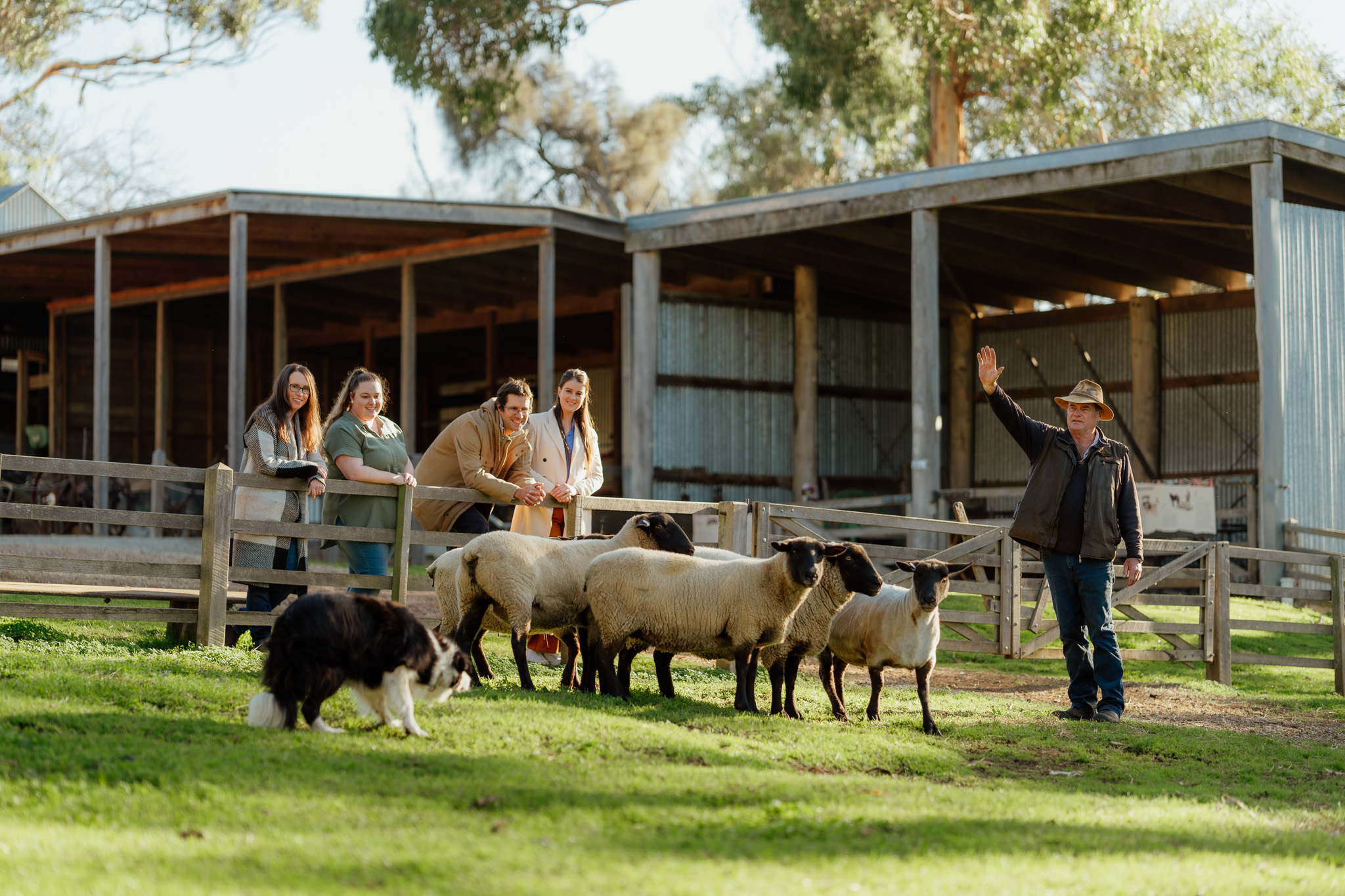 菲利普岛邱吉尔岛门票