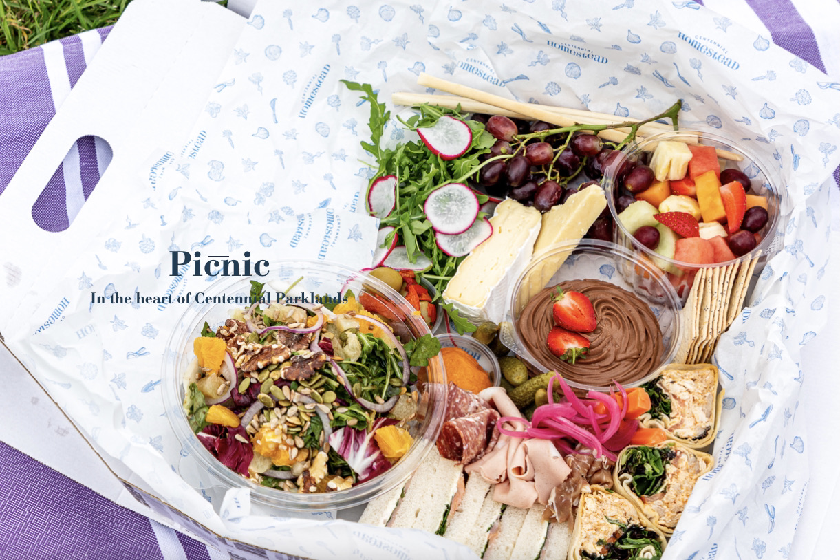 雪梨百年纪念公园野餐体验