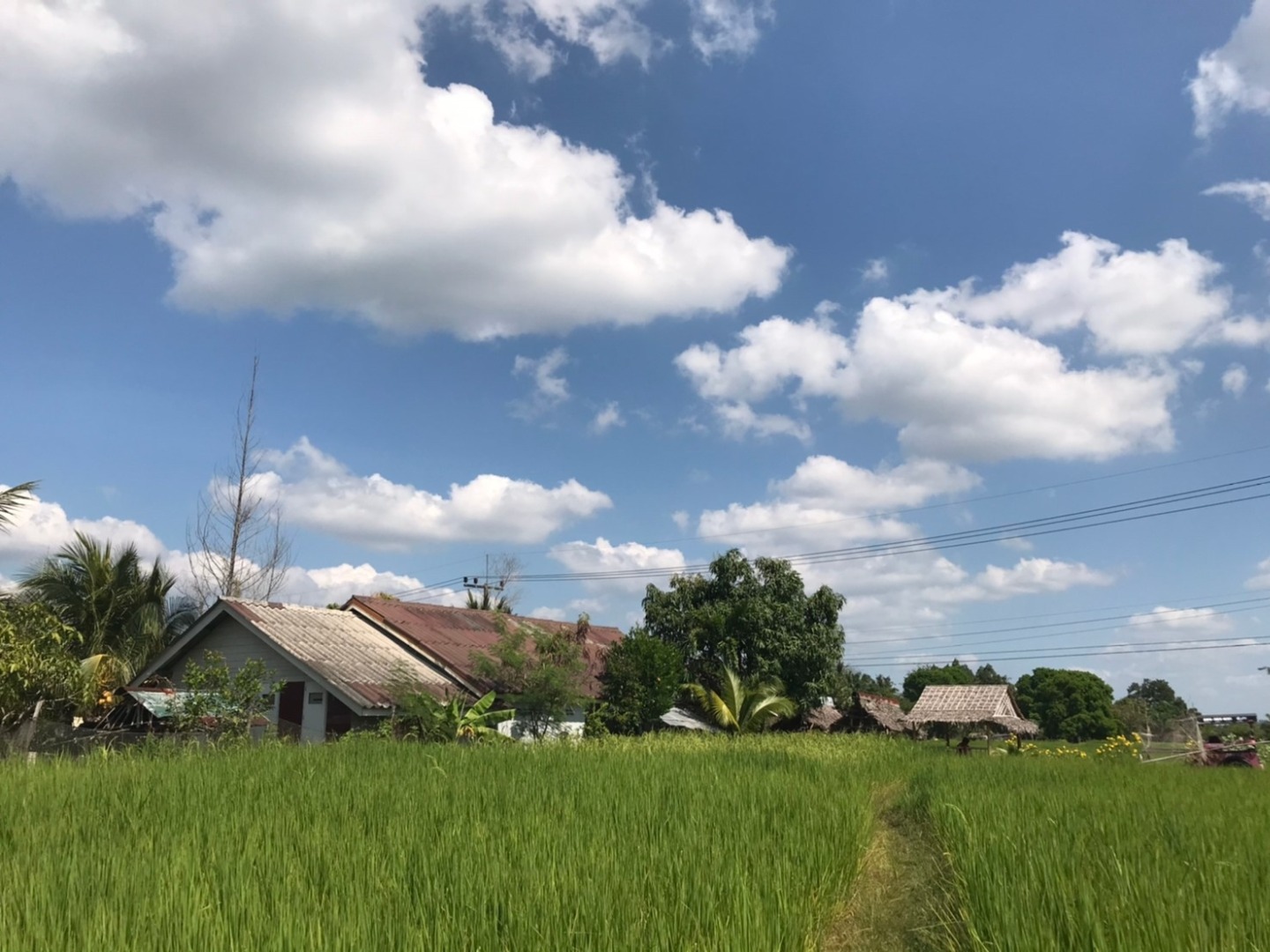 喀比柯朗岛文化一日游（含午餐）