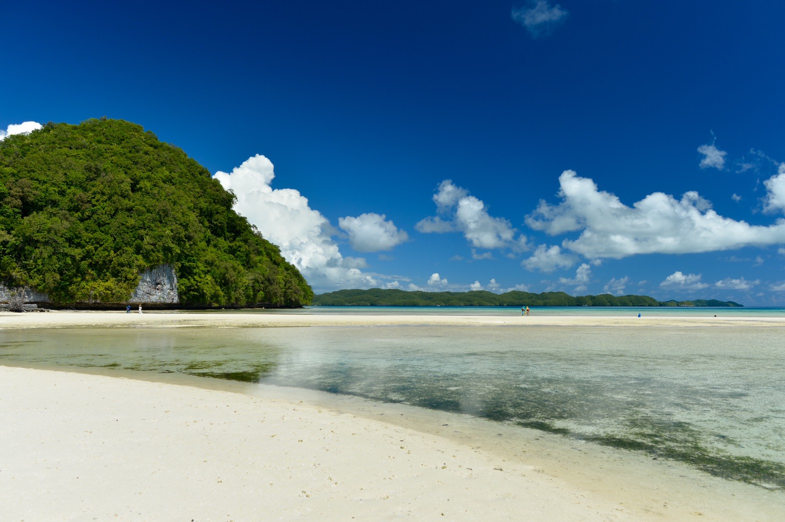 帛琉｜洛克群岛浮潜一日游｜西线-德国水道路线