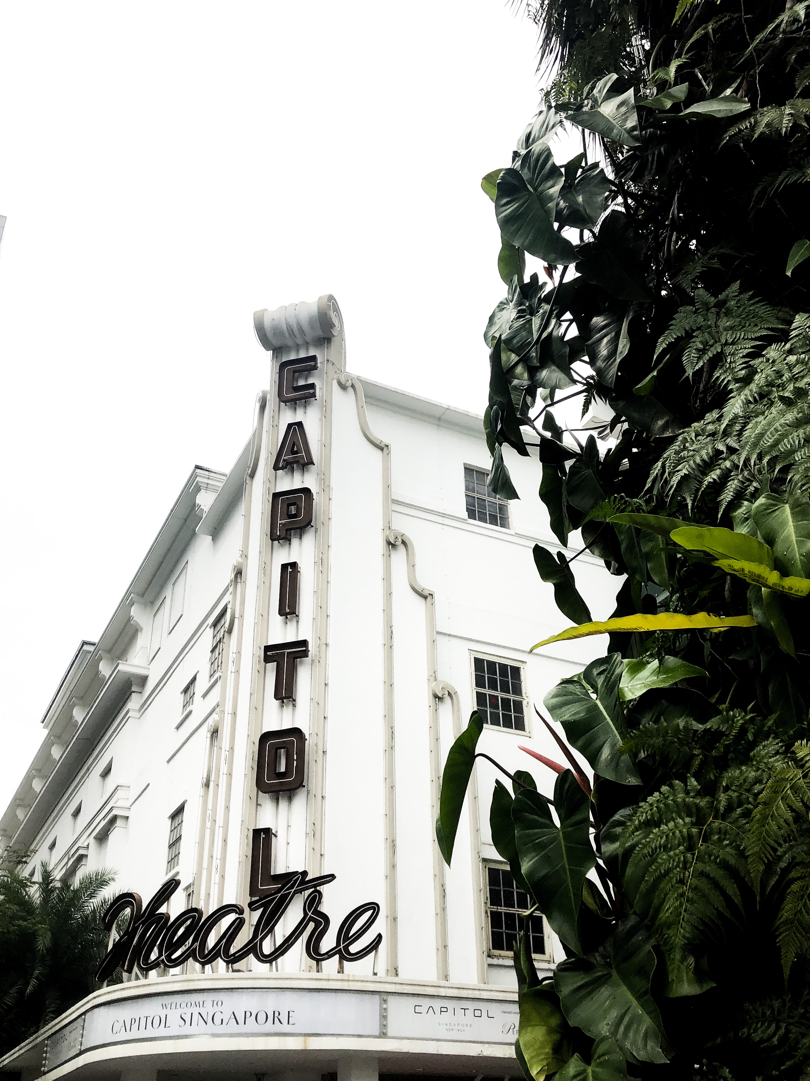 新加坡行政文化区网美景点步行探索之旅