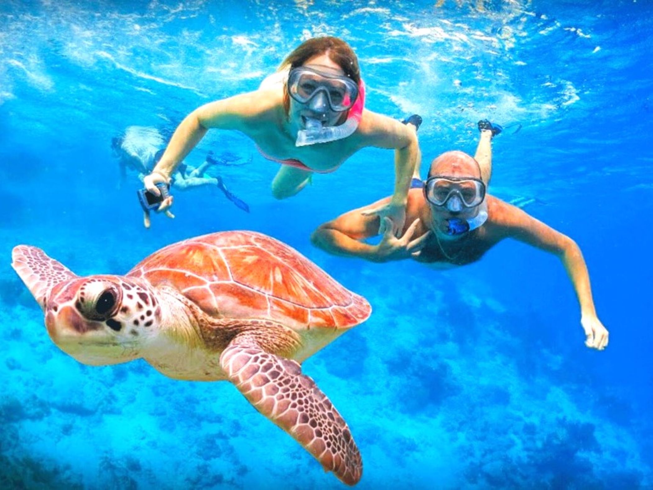 峇里岛艾湄湾浮潜体验（可选天堂之门／蒂尔塔冈加水皇宫之旅）