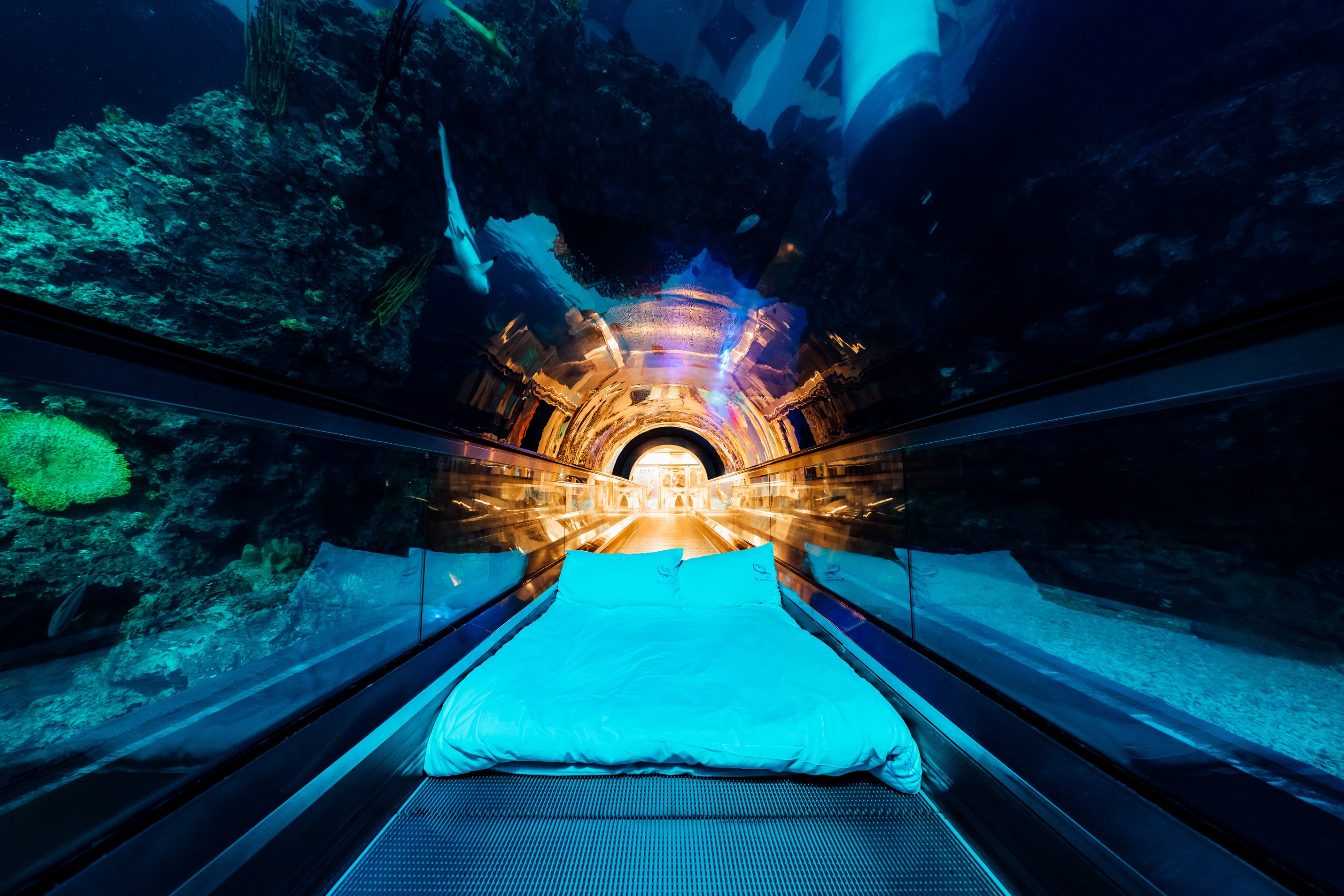 屏东夜宿海生馆体验：标准・季节套装行程