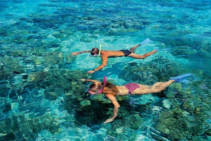 渡轮船票：凯恩斯 - 绿岛