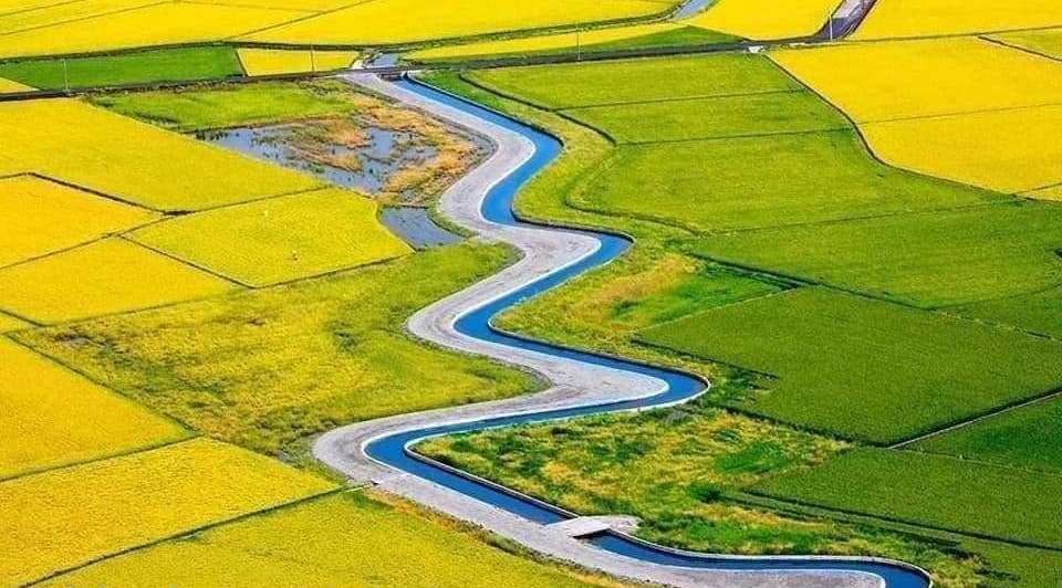 宜兰｜黄金河稻独木舟划船体验